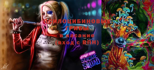 хмурый Краснотурьинск