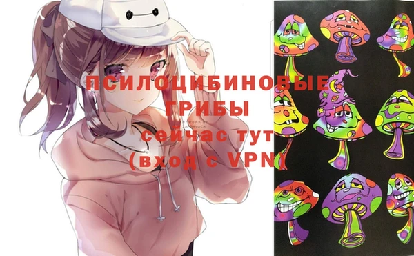 mdma Краснослободск