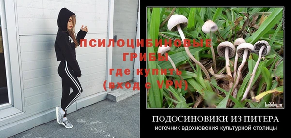 mdma Краснослободск